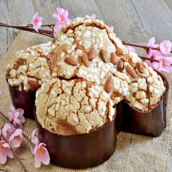 Colomba classica